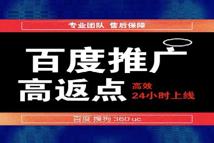 行业专家解析SEM代运营成功案例
